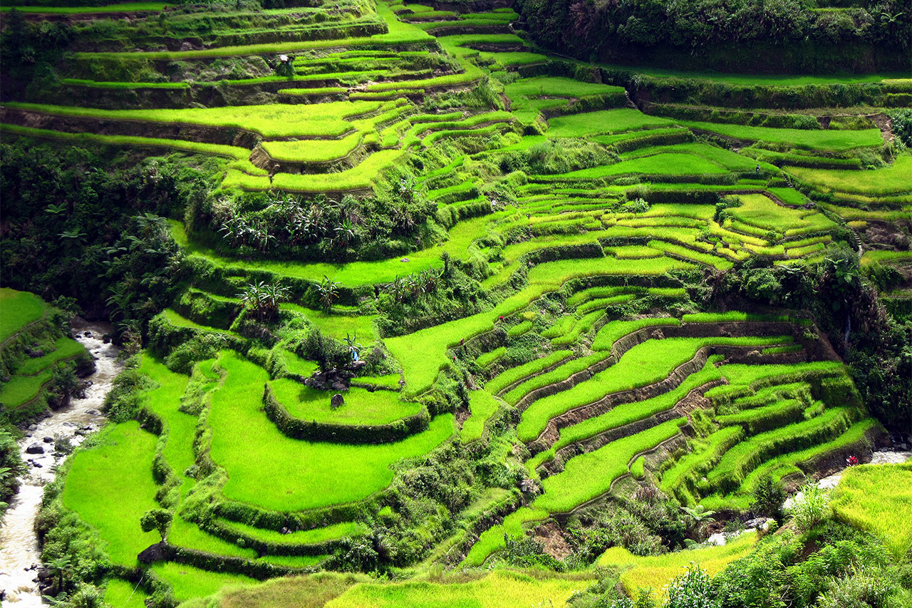 菲律賓碧瑤世界遺產 Cordilleras 梯田