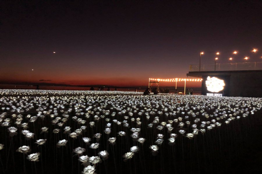 10000 roses cafe
