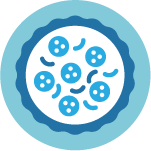 維格遊學_2017_ICON_美食