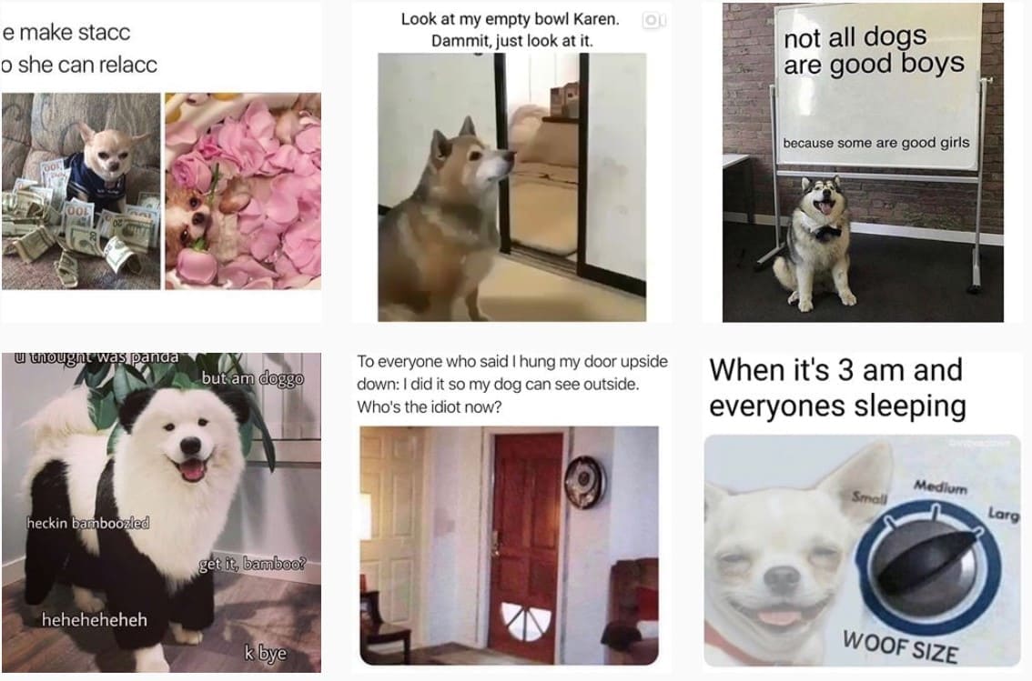 IG學習-dogmeme IG學習-dogmeme