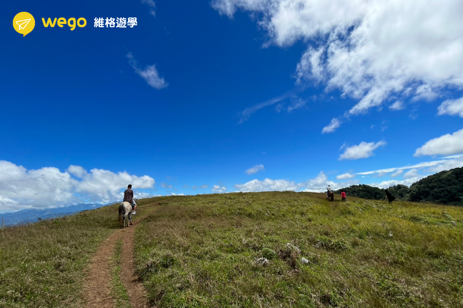 多益500-90009