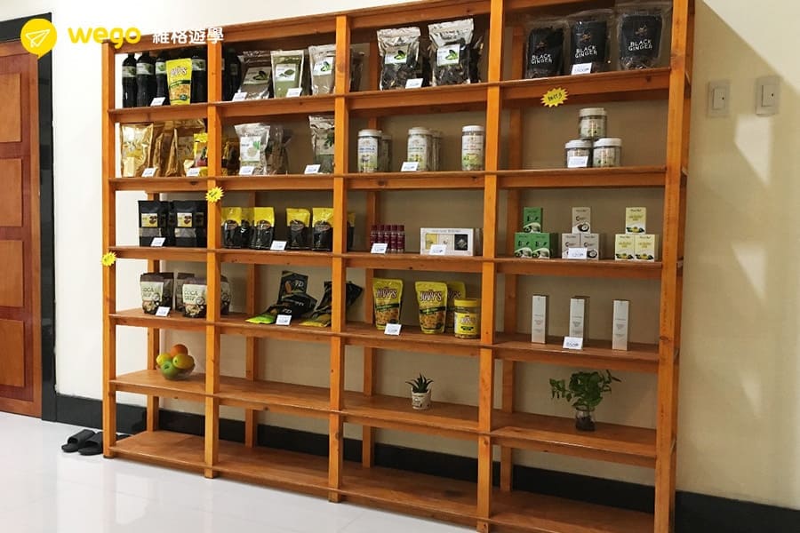 宿霧按摩推薦-mango tree-cella1附近-3 宿霧按摩推薦-mango tree-cella1附近-3