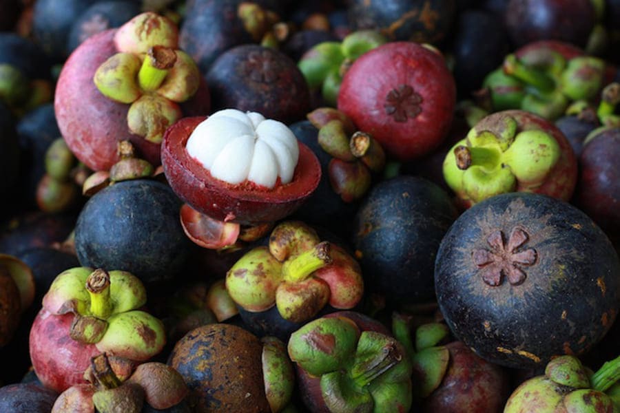 菲律賓美食-山竹Mangosteen 菲律賓美食-山竹Mangosteen
